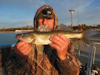 10/15/12- A Walleye caught by Dennis