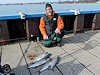 11/14/12- Five whitefish caught this morning