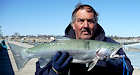 4/3/13- Larry with a trout caught on the outside of the State Dock