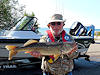 07/02/15- Walleye caught in Tawas Bay